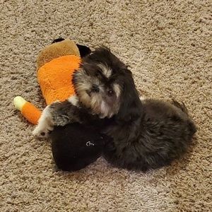 Meet your Posher, Heather